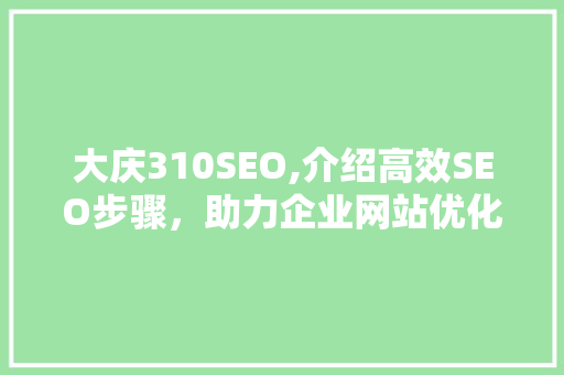 大庆310SEO,介绍高效SEO步骤，助力企业网站优化