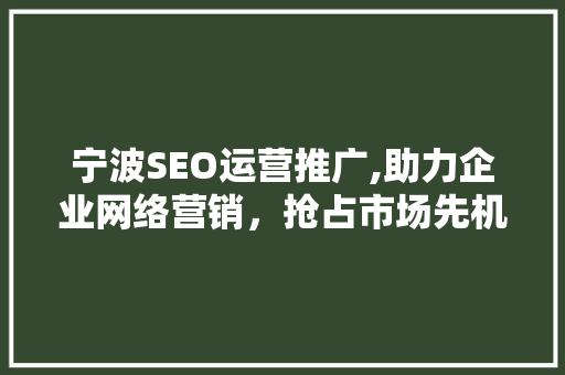 宁波SEO运营推广,助力企业网络营销，抢占市场先机