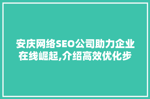 安庆网络SEO公司助力企业在线崛起,介绍高效优化步骤