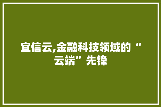 宜信云,金融科技领域的“云端”先锋