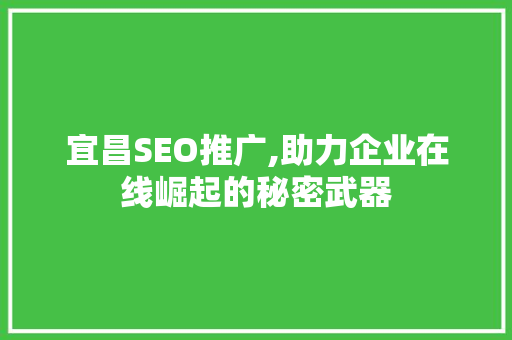 宜昌SEO推广,助力企业在线崛起的秘密武器
