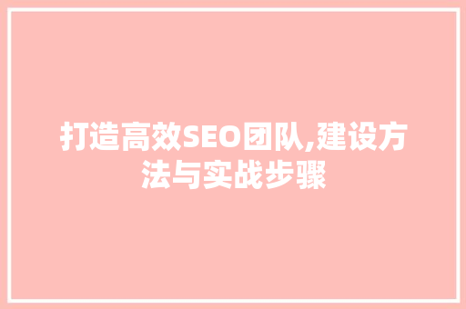 打造高效SEO团队,建设方法与实战步骤
