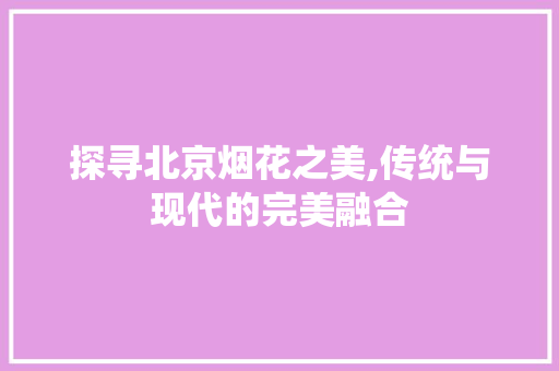 探寻北京烟花之美,传统与现代的完美融合