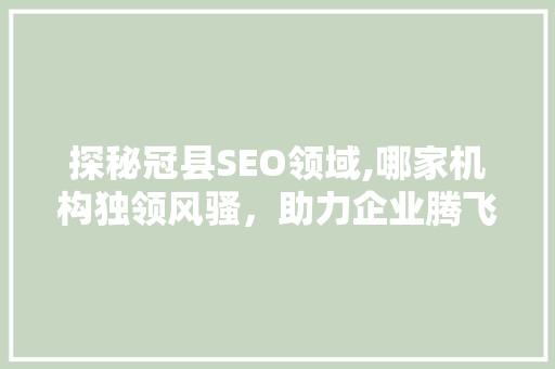 探秘冠县SEO领域,哪家机构独领风骚，助力企业腾飞