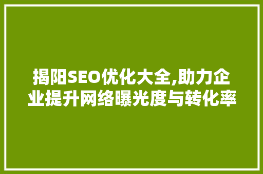 揭阳SEO优化大全,助力企业提升网络曝光度与转化率