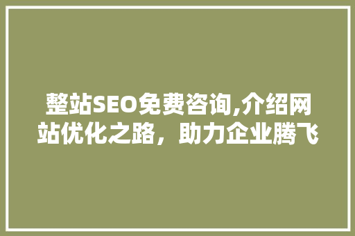 整站SEO免费咨询,介绍网站优化之路，助力企业腾飞