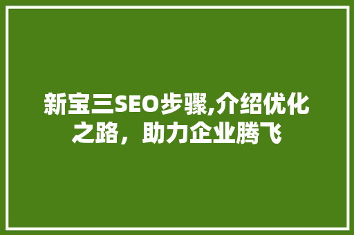 新宝三SEO步骤,介绍优化之路，助力企业腾飞