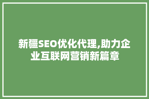 新疆SEO优化代理,助力企业互联网营销新篇章