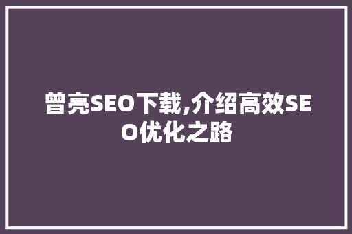 曾亮SEO下载,介绍高效SEO优化之路