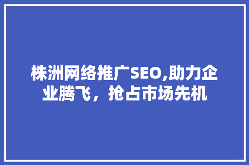 株洲网络推广SEO,助力企业腾飞，抢占市场先机