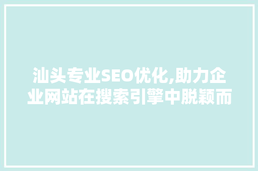 汕头专业SEO优化,助力企业网站在搜索引擎中脱颖而出