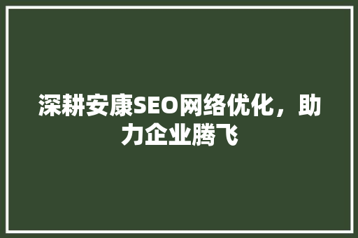 深耕安康SEO网络优化，助力企业腾飞