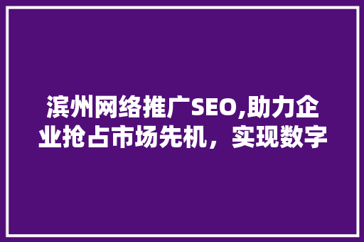 滨州网络推广SEO,助力企业抢占市场先机，实现数字化转型
