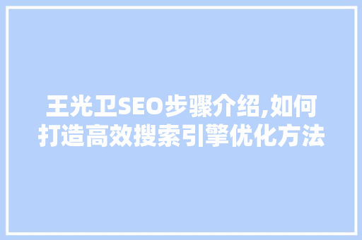 王光卫SEO步骤介绍,如何打造高效搜索引擎优化方法