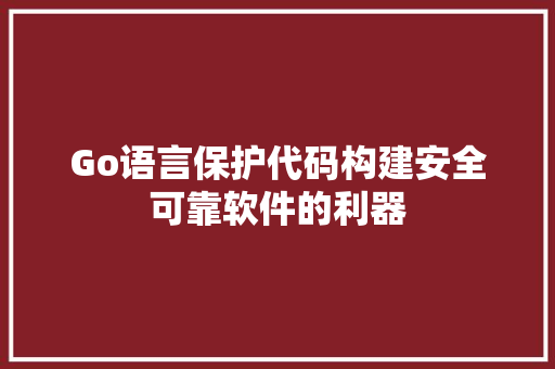 Go语言保护代码构建安全可靠软件的利器
