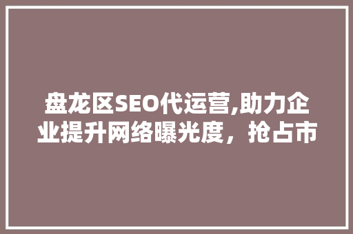 盘龙区SEO代运营,助力企业提升网络曝光度，抢占市场先机