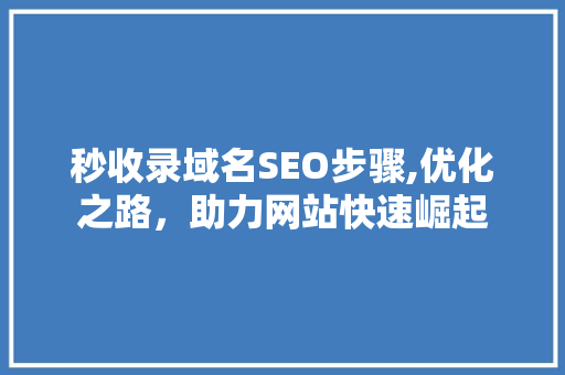 秒收录域名SEO步骤,优化之路，助力网站快速崛起
