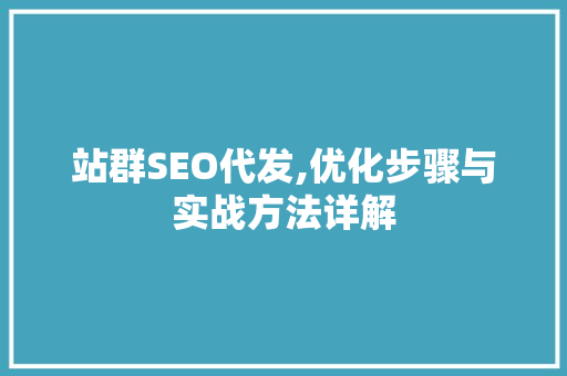 站群SEO代发,优化步骤与实战方法详解