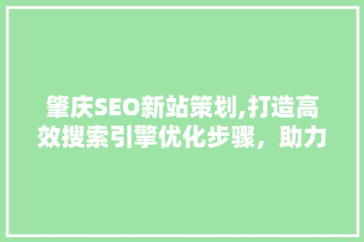 肇庆SEO新站策划,打造高效搜索引擎优化步骤，助力企业腾飞