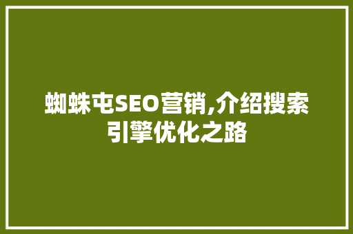 蜘蛛屯SEO营销,介绍搜索引擎优化之路