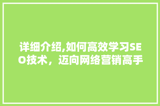 详细介绍,如何高效学习SEO技术，迈向网络营销高手之路