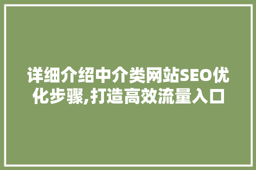 详细介绍中介类网站SEO优化步骤,打造高效流量入口