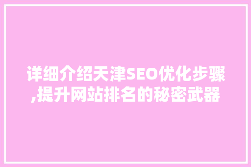 详细介绍天津SEO优化步骤,提升网站排名的秘密武器