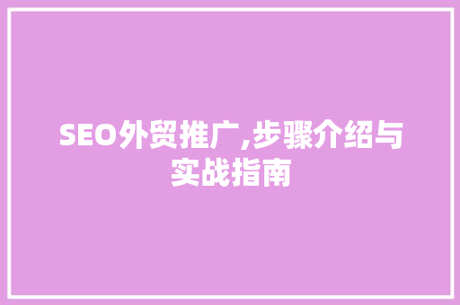 SEO外贸推广,步骤介绍与实战指南