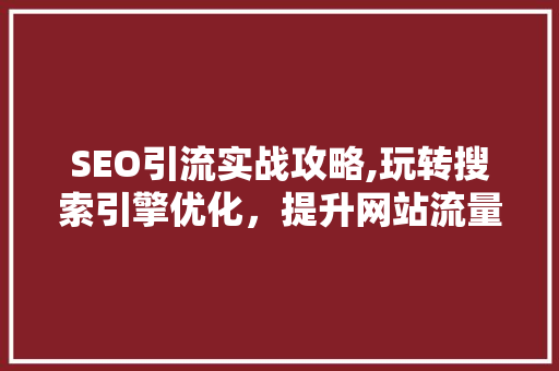 SEO引流实战攻略,玩转搜索引擎优化，提升网站流量