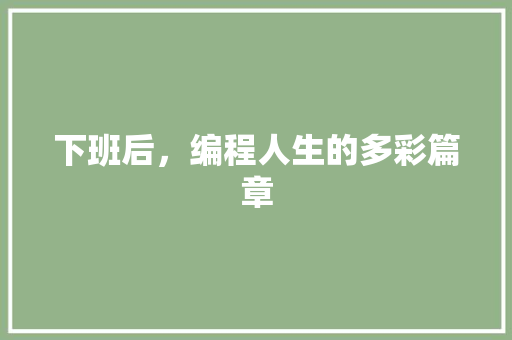 下班后，编程人生的多彩篇章