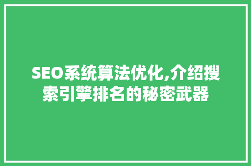 SEO系统算法优化,介绍搜索引擎排名的秘密武器