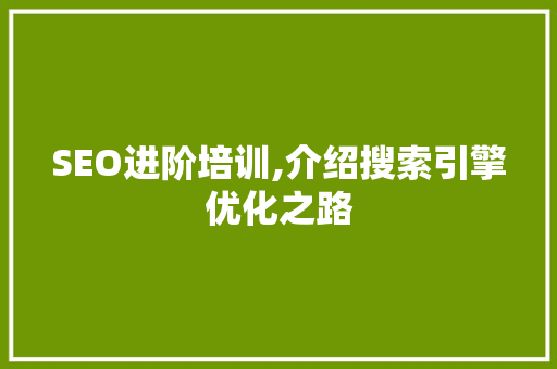 SEO进阶培训,介绍搜索引擎优化之路