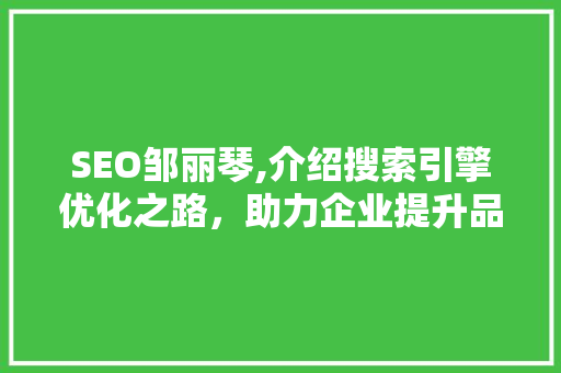SEO邹丽琴,介绍搜索引擎优化之路，助力企业提升品牌影响力