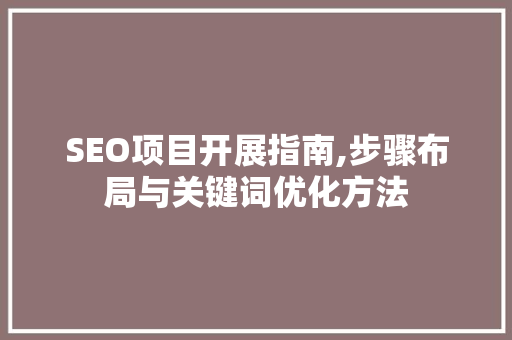 SEO项目开展指南,步骤布局与关键词优化方法