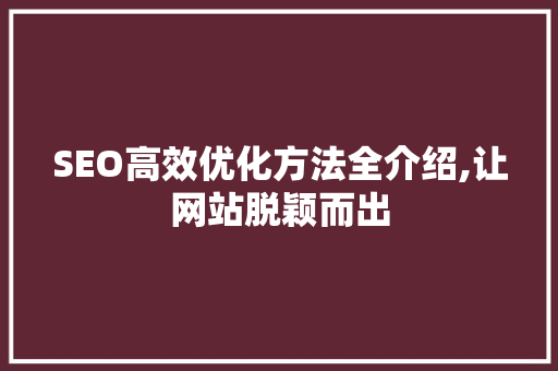 SEO高效优化方法全介绍,让网站脱颖而出