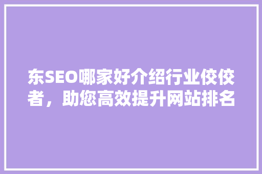 东SEO哪家好介绍行业佼佼者，助您高效提升网站排名