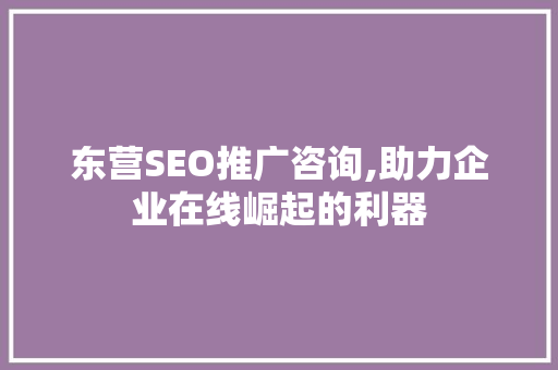 东营SEO推广咨询,助力企业在线崛起的利器