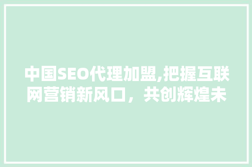 中国SEO代理加盟,把握互联网营销新风口，共创辉煌未来
