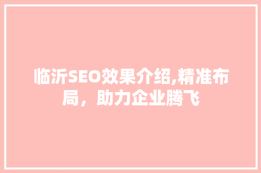 临沂SEO效果介绍,精准布局，助力企业腾飞