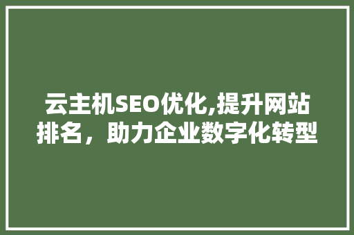 云主机SEO优化,提升网站排名，助力企业数字化转型