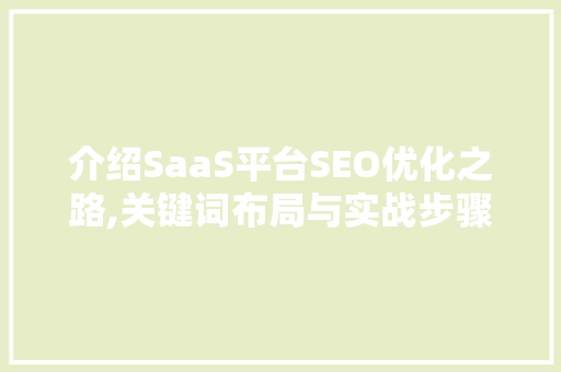 介绍SaaS平台SEO优化之路,关键词布局与实战步骤