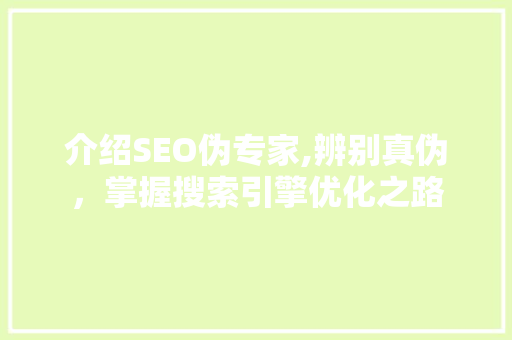 介绍SEO伪专家,辨别真伪，掌握搜索引擎优化之路