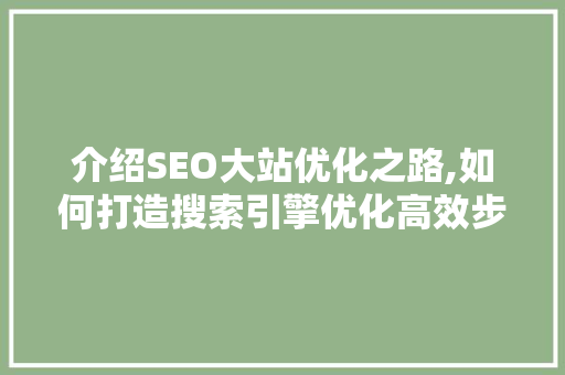 介绍SEO大站优化之路,如何打造搜索引擎优化高效步骤