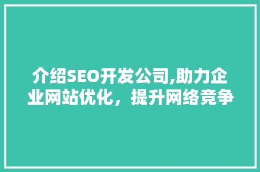 介绍SEO开发公司,助力企业网站优化，提升网络竞争力