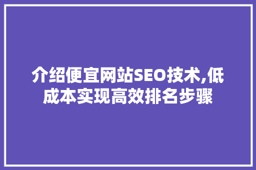 介绍便宜网站SEO技术,低成本实现高效排名步骤