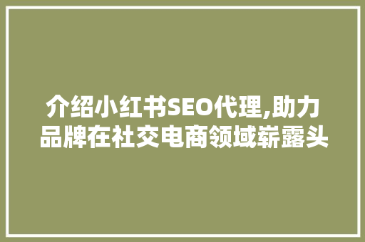 介绍小红书SEO代理,助力品牌在社交电商领域崭露头角