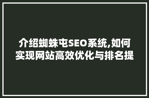 介绍蜘蛛屯SEO系统,如何实现网站高效优化与排名提升