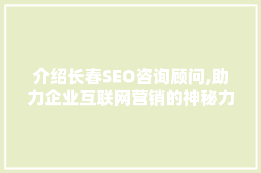 介绍长春SEO咨询顾问,助力企业互联网营销的神秘力量