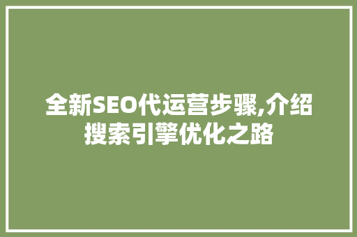 全新SEO代运营步骤,介绍搜索引擎优化之路