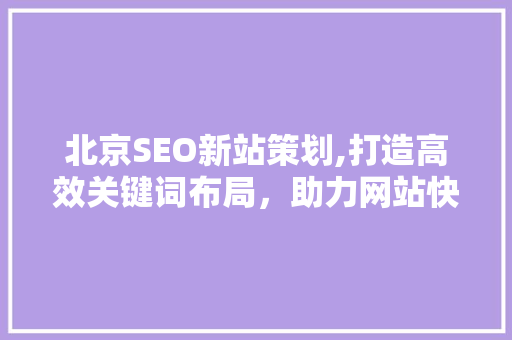 北京SEO新站策划,打造高效关键词布局，助力网站快速崛起
